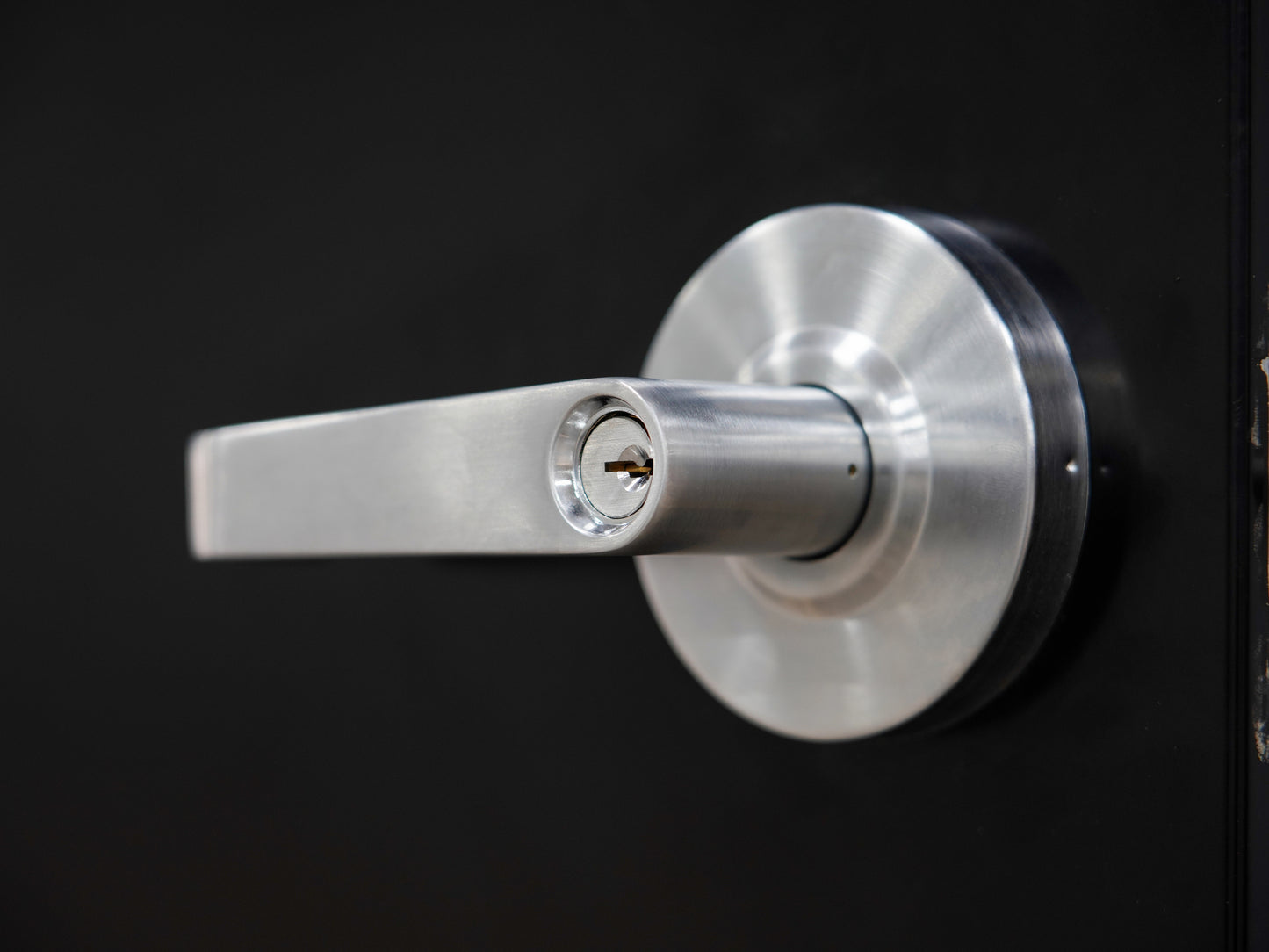 100 Series Door