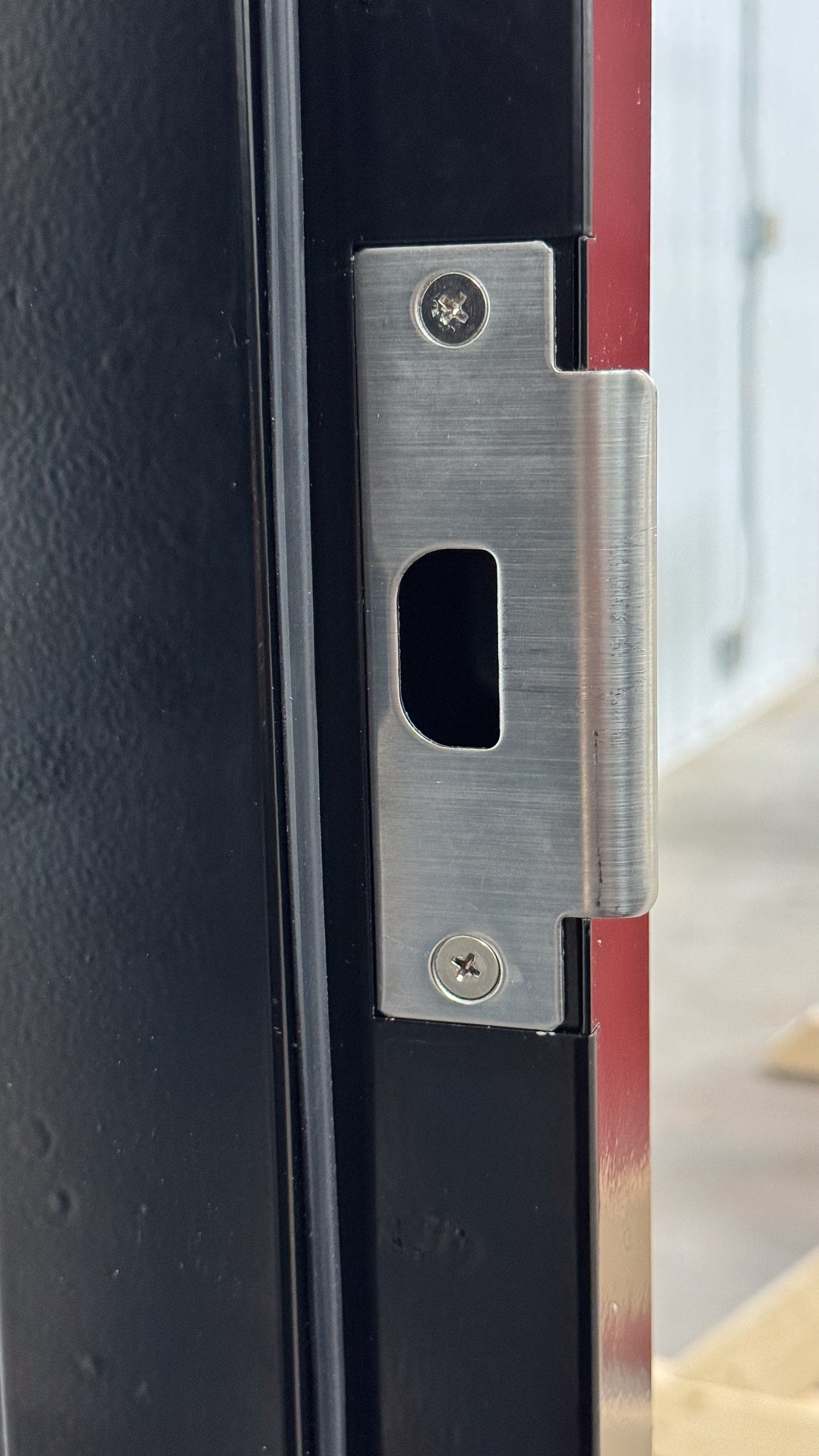 100 Series Door